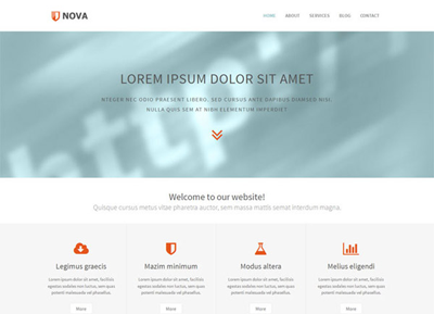 网站攻击软件工具